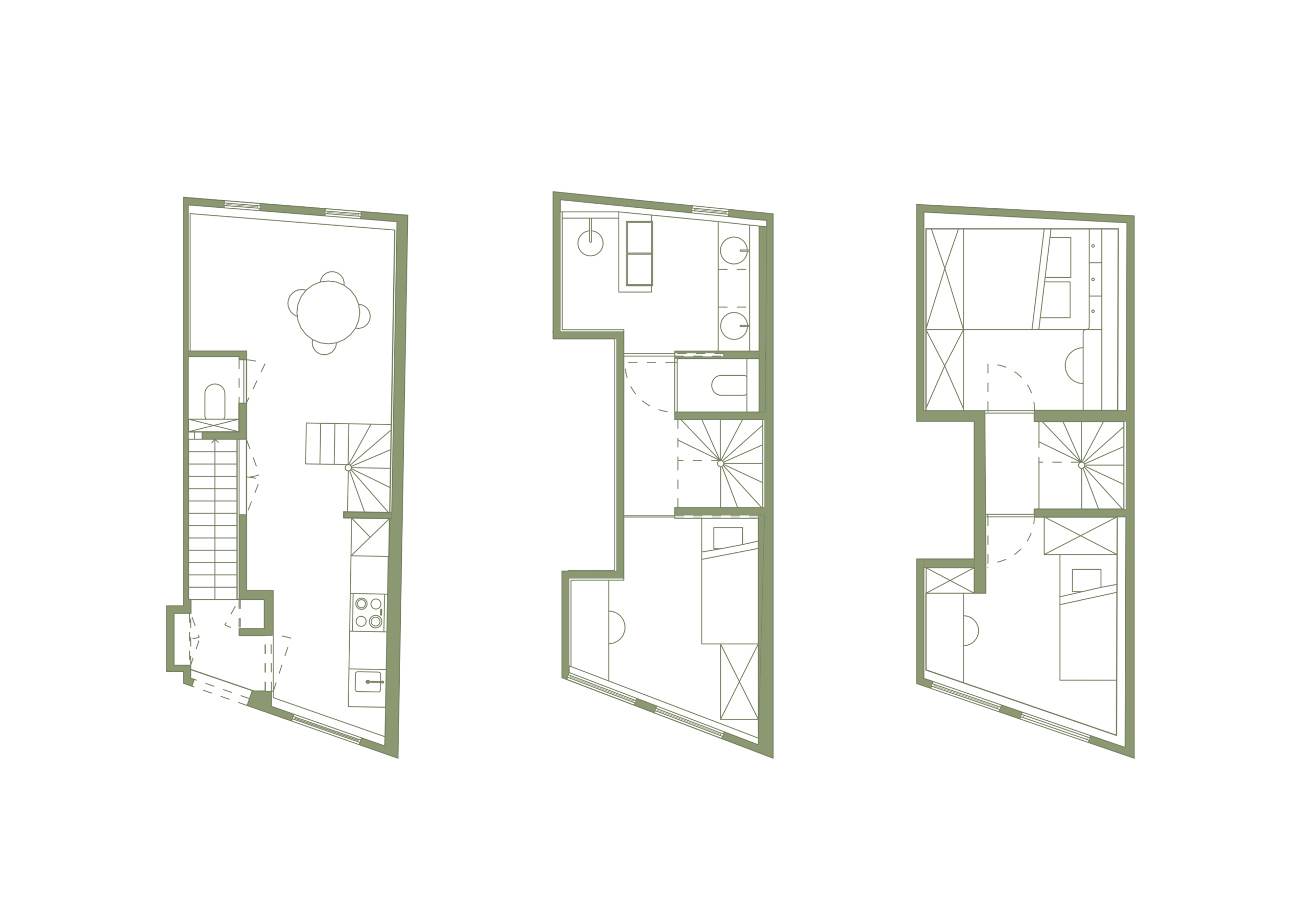 Triplex verkoopplan website